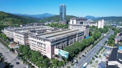 做为安化黑茶财产的龙…